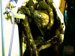 A lustful whore's attractive body is covered in green, foul-smelling excrement.